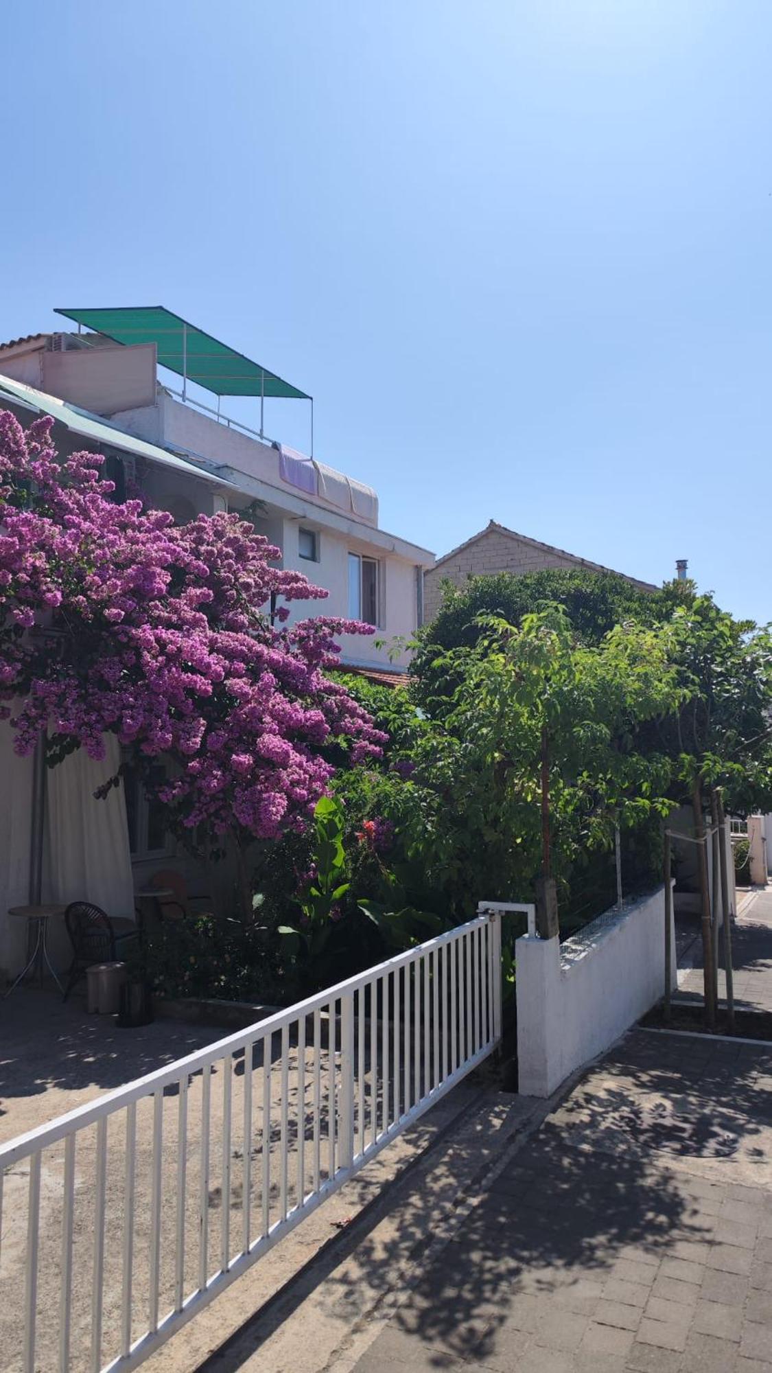Apartments Suri Vodice Zewnętrze zdjęcie